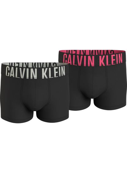 TRUNK 2PK